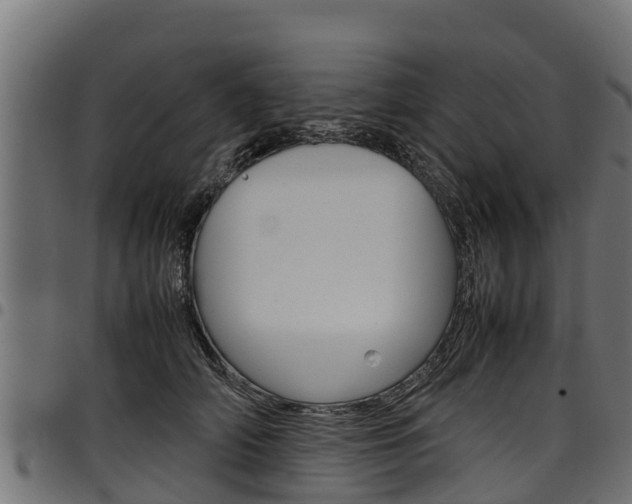X0000098020706200803280753