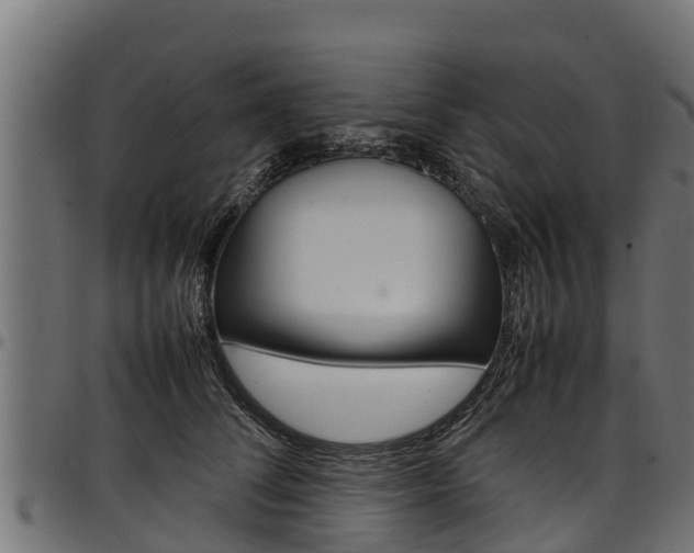 X0000098020708200803280753