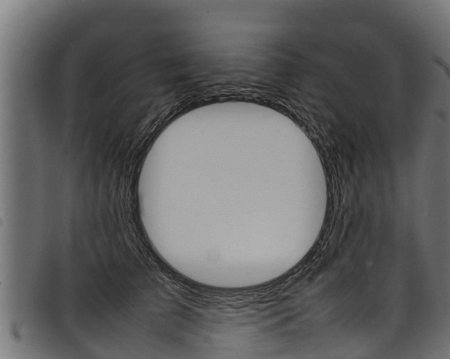 X0000098020709200803280753