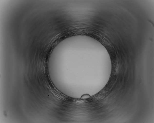 X0000098020710200803280753