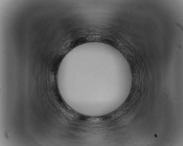 X0000098020711200803280753