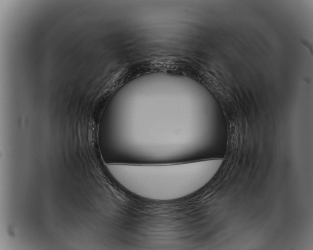 X0000098020712200803280753
