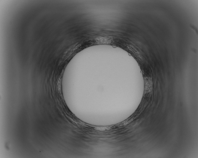 X0000098020713200803280753