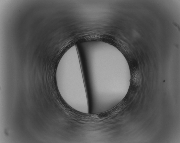 X0000098020715200803280753