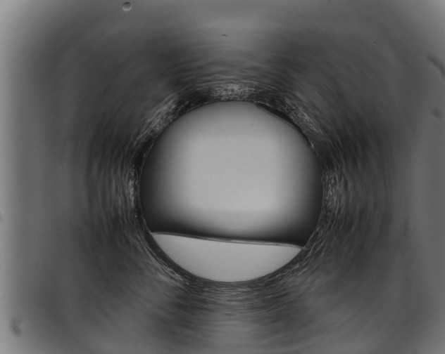 X0000098020716200803280753