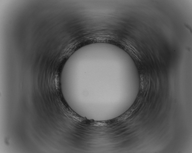 X0000098020718200803280753