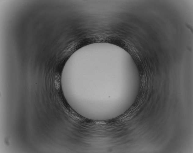 X0000098020719200803280753