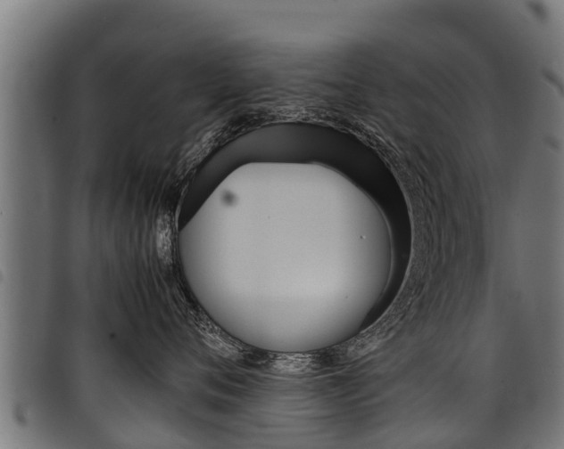 X0000098020720200803280753