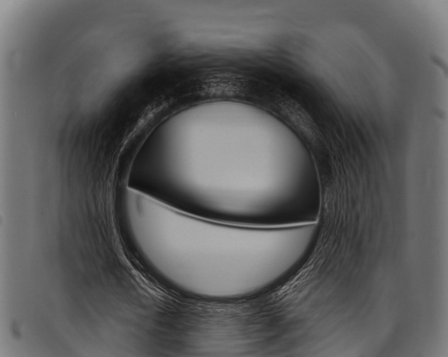 X0000098020722200803280752