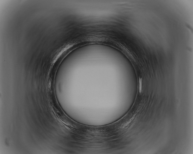 X0000098020723200803280752