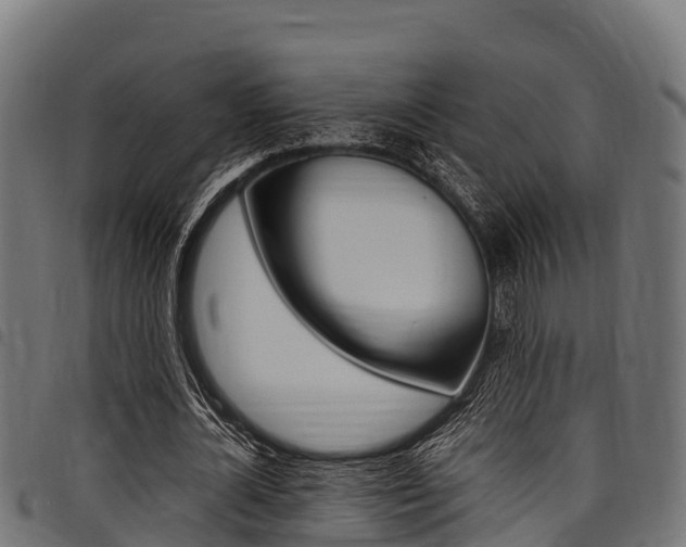 X0000098020724200803280752