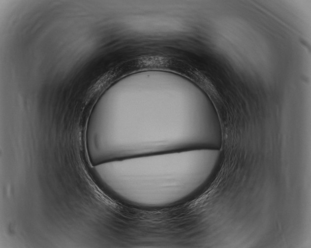 X0000098020725200803280752