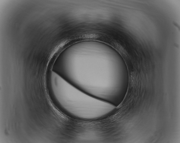 X0000098020726200803280752