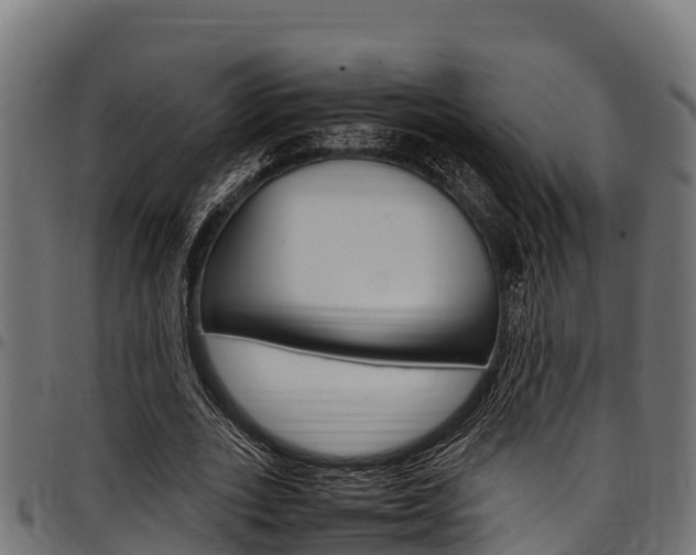X0000098020727200803280752