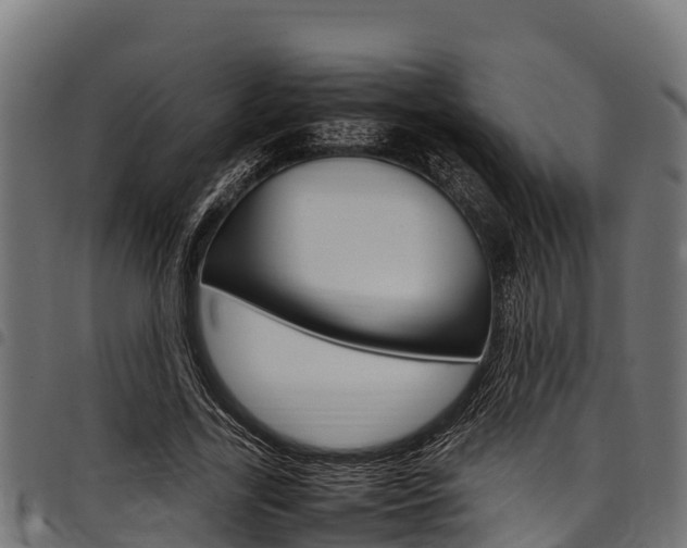 X0000098020731200803280752