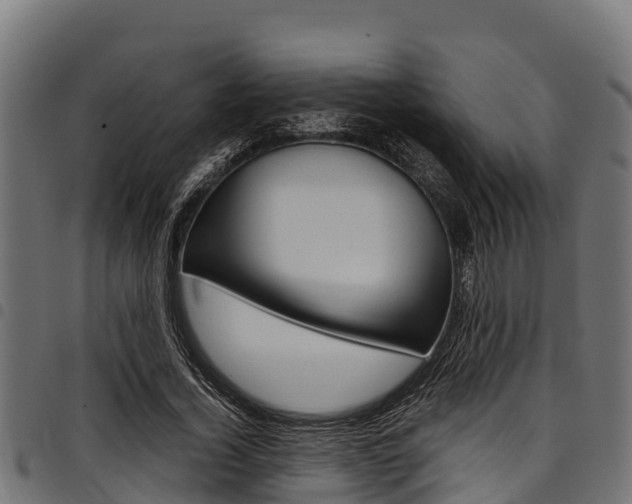 X0000098020732200803280752
