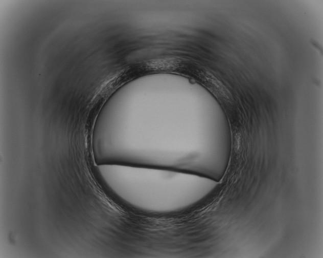 X0000098020733200803280752
