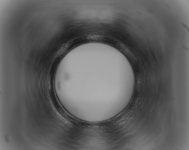 X0000098020734200803280752