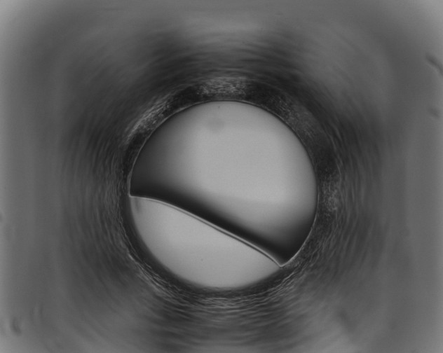 X0000098020735200803280752