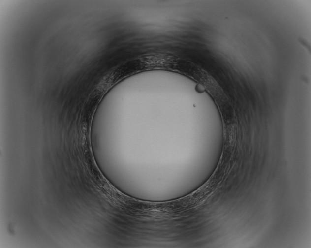 X0000098020737200803280752