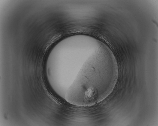 X0000098020738200803280752