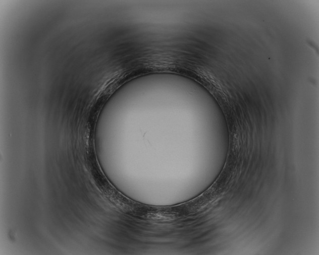 X0000098020739200803280752