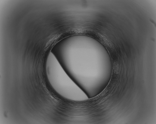 X0000098020740200803280752