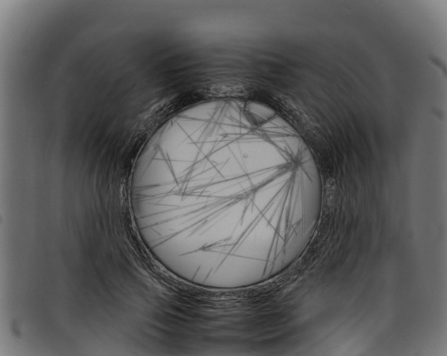 X0000098020741200803280752