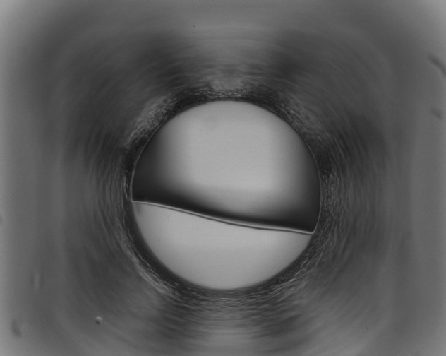 X0000098020742200803280752