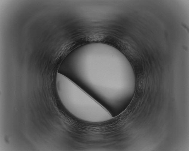 X0000098020743200803280752