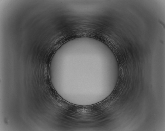 X0000098020745200803280753