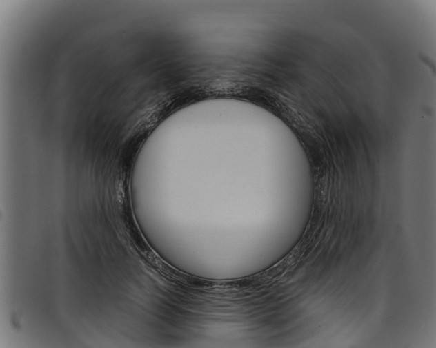 X0000098020746200803280753