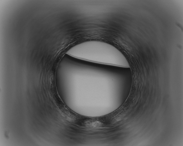 X0000098020747200803280753