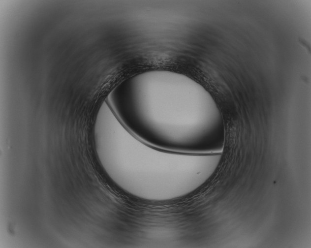 X0000098020750200803280753