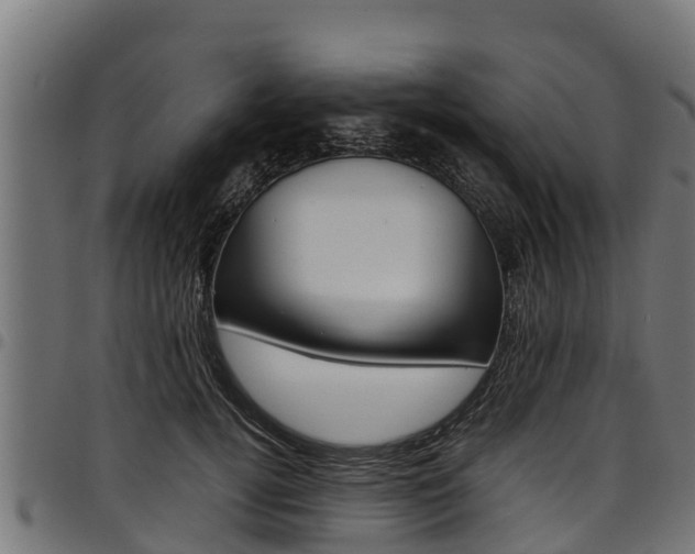 X0000098020752200803280753