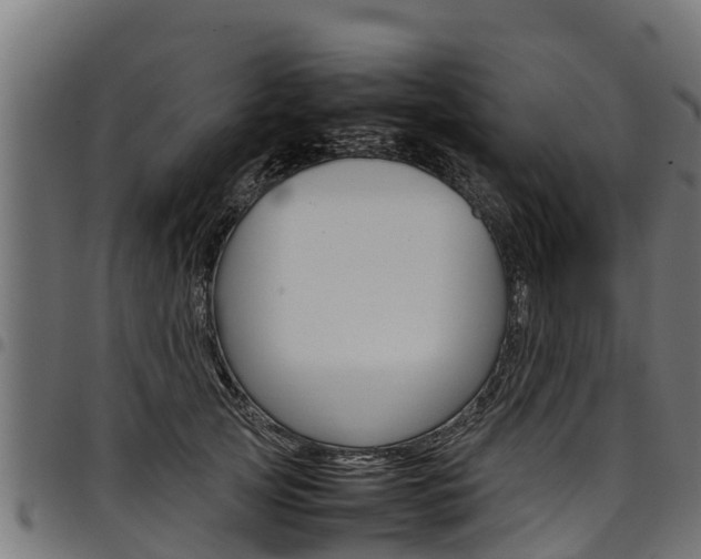 X0000098020753200803280753