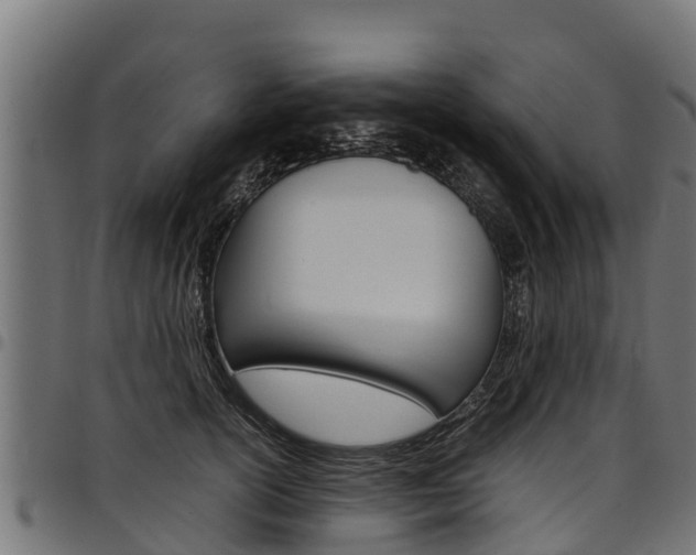 X0000098020754200803280753