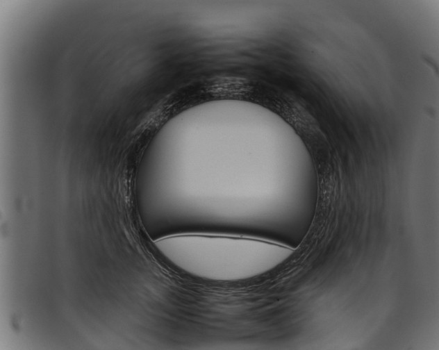X0000098020755200803280753