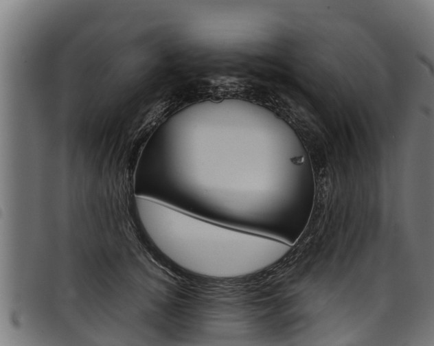 X0000098020756200803280753