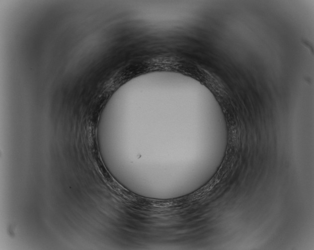 X0000098020757200803280753