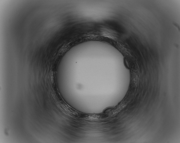 X0000098020758200803280753