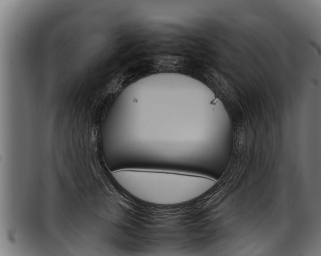 X0000098020759200803280753