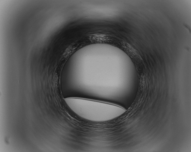 X0000098020760200803280753