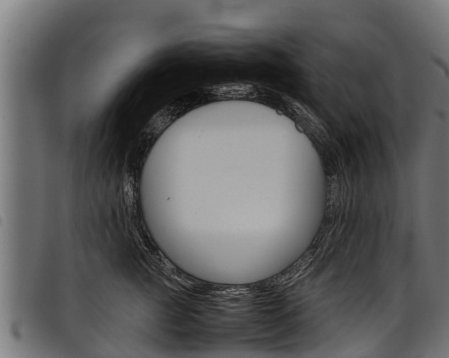 X0000098020761200803280753