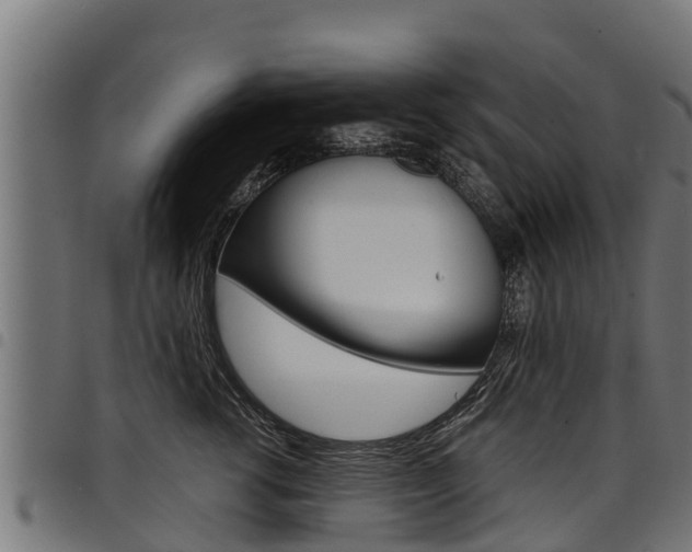 X0000098020762200803280753