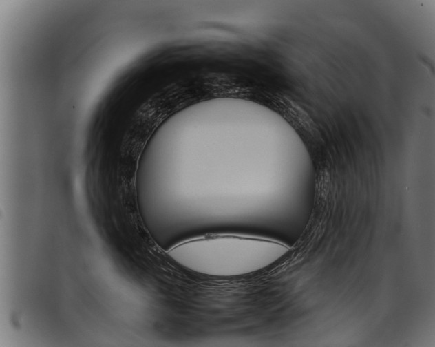 X0000098020763200803280753