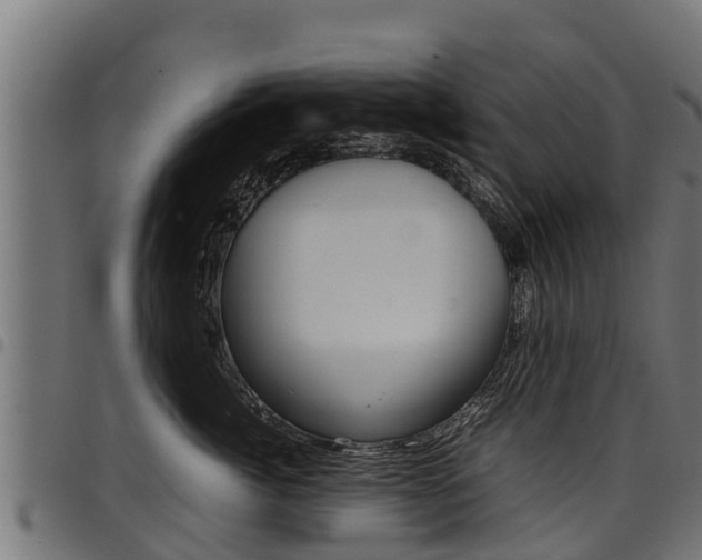 X0000098020764200803280753