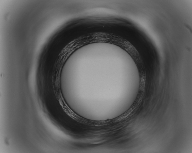 X0000098020765200803280753