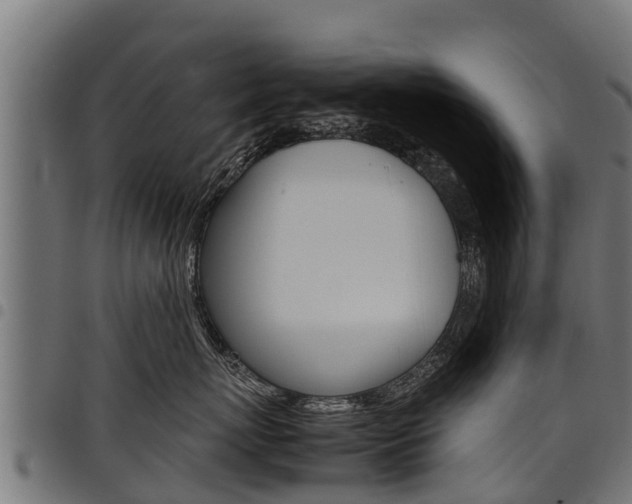 X0000098020767200803280753