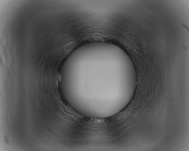 X0000098020768200803280753